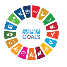 sdg17_1