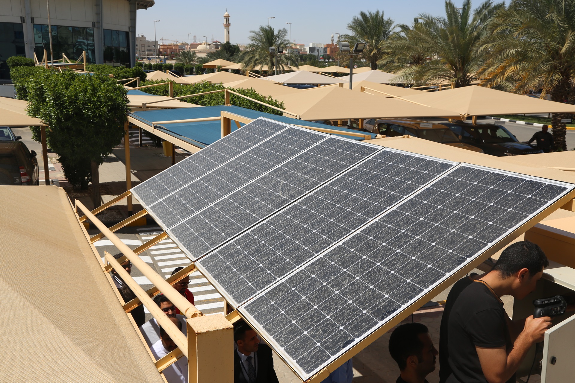 Renewable Energy & Sustainability Club